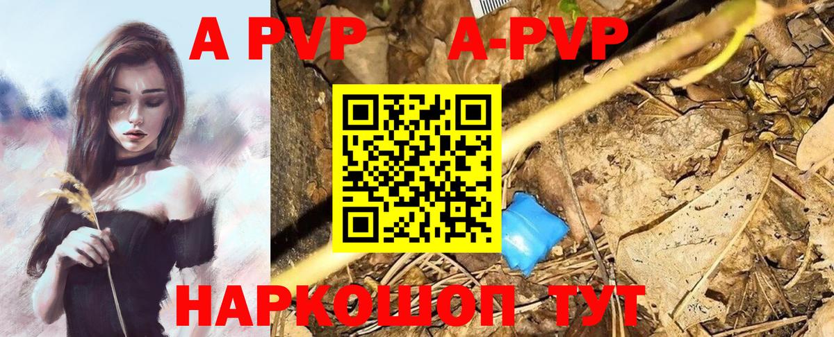 Alfa_PVP СК КРИС Черкесск
