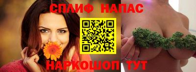 МДПВ Ливны