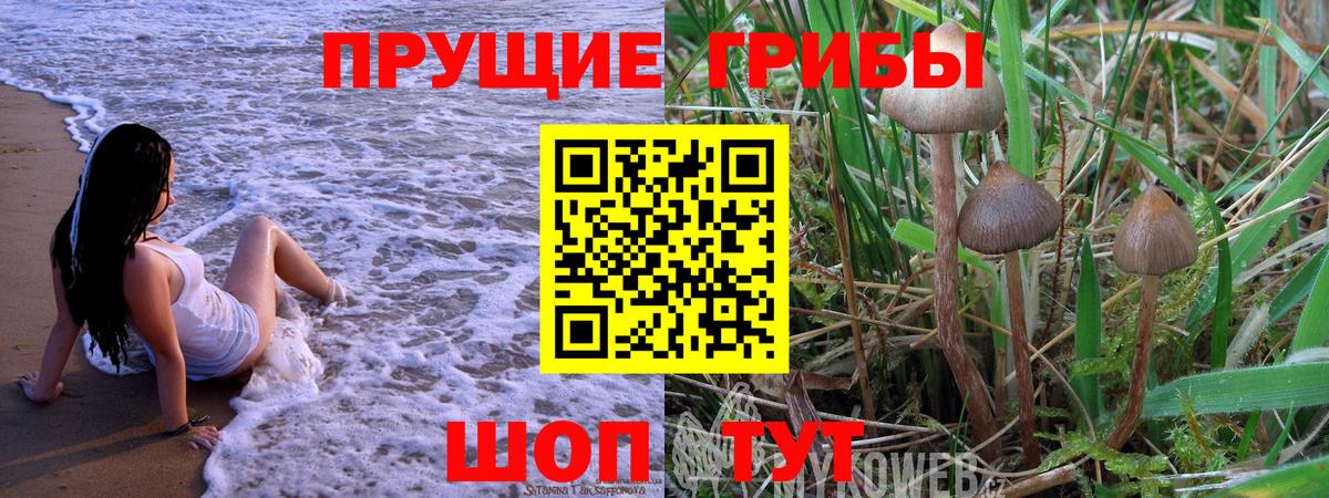 Псилоцибиновые грибы Psilocybine cubensis  Вход с VPN  Галлюциногенные грибы мухоморы  Черкесск 