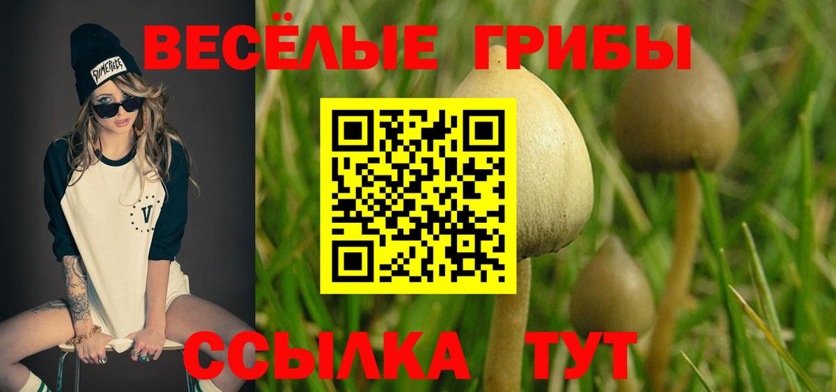 Псилоцибиновые грибы Magic Shrooms Черкесск